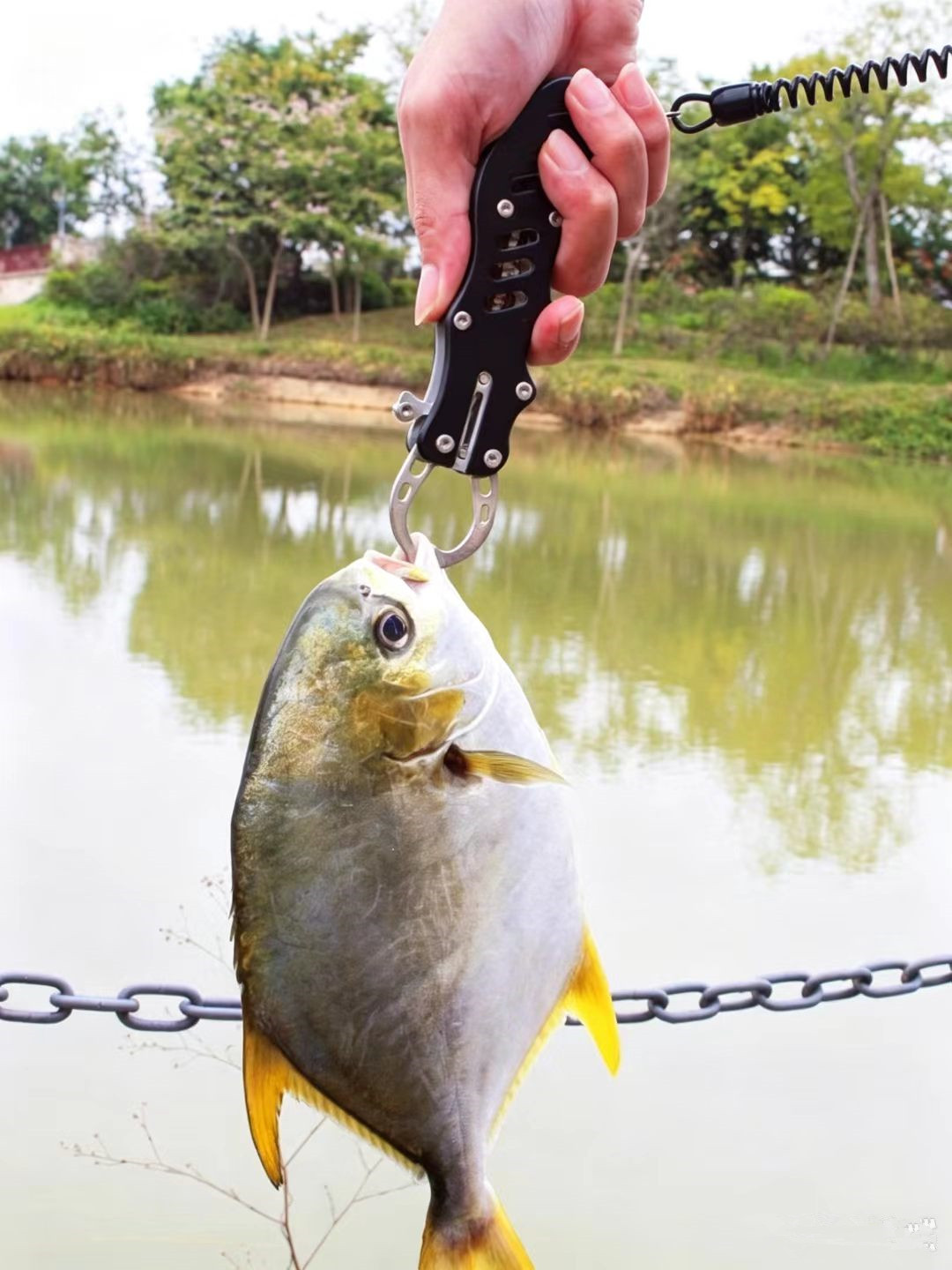กรรไกรสแตนเลสอเนกประสงค์ ที่ตั - Fishing Line Cutter บทวิจารณ์และราคา